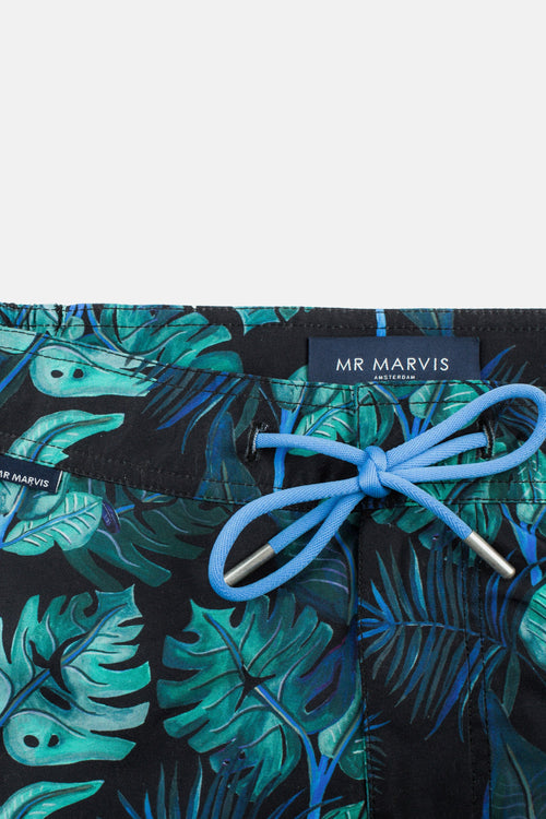 Cousteaus * The Print Swims