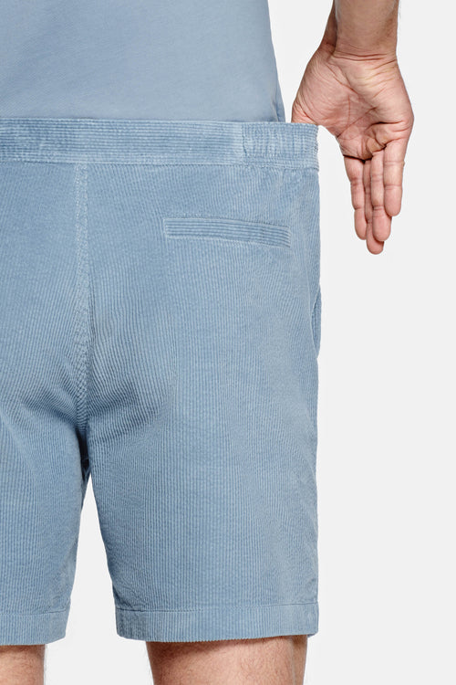 Antarctics * The Short Cords