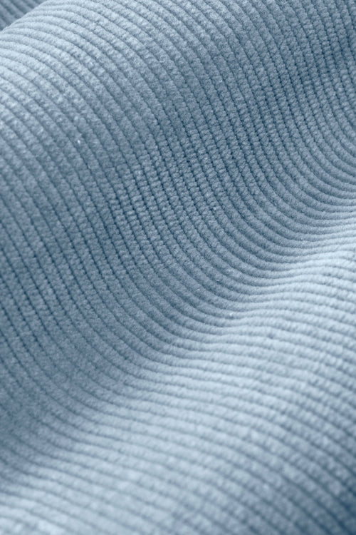Antarctics * The Cords